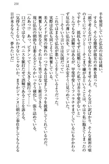 ジャンヌ・ダルクですが召喚されて邪メイドやってます, 日本語