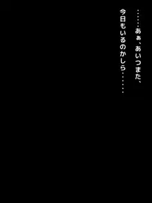 不良嫌いなはずの人妻がギャル男に堕とされて不倫し、夫にバレるまでの一部始終, 日本語