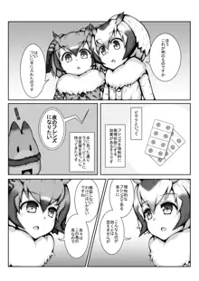 びやくフレンズ, 日本語