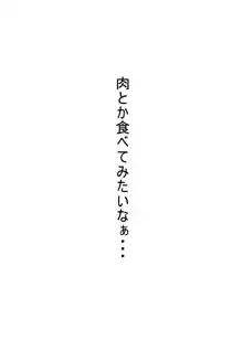 素直な正邪とする本, 日本語