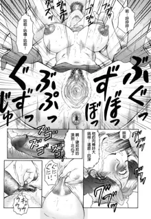 Kan no Arashi Nikuduma Ryoujoku Jigokuhen Ch. 1-5 (decensored), 中文