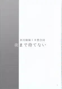 氷川姉妹18禁合同/夜まで待てない, 日本語