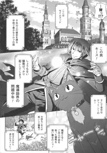 エルフの国の宮廷魔導師になれたので姫様に性的な悪戯をしてみた THE COMIC, 日本語