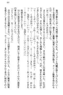 土下座で(本番まで)頼んでみた, 日本語