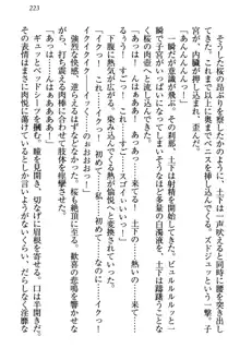 土下座で(本番まで)頼んでみた, 日本語