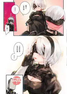 2B9S, 中文