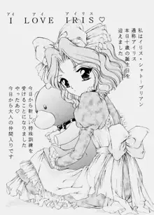 浦乃まみ個人誌Vol.22 四面楚歌, 日本語