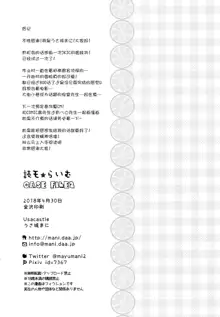 Dokumo Lime CASE FILE 2, 中文