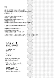 Dokumo Lime CASE FILE 2, 中文