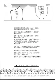 タマモとHできる風俗店, 日本語