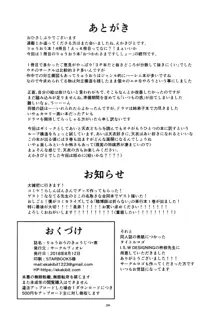 りゅうおうのきゅうじつ・表, 日本語