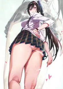 Ecchi na Onee-san Matome Hon, 中文