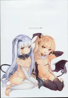 Boku wa Chiisana Succubus no Shimobe, 中文