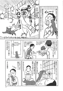 ねこ(むすめ)のきもち, 日本語