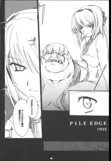 PILE EDGE 2003SUMMER, 日本語