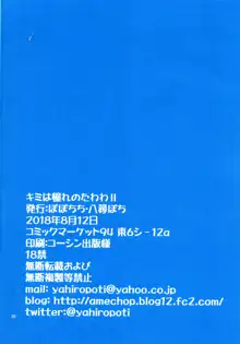 キミは憧れのたわわII, 日本語