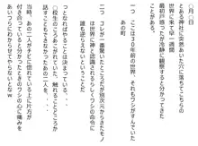 基本30枚化○語NTRセット, 日本語