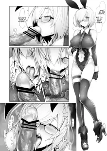 Chaldea Bunny Bu, English