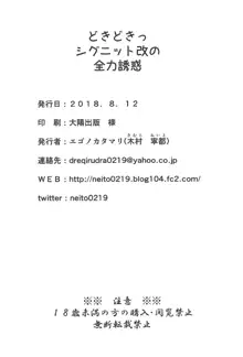 どきどきっシグニット改の全力誘惑, 日本語