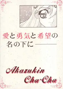 姫ちゃんのリボン, 日本語