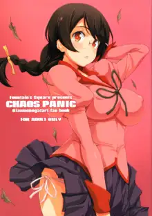 CHAOS PANIC, English