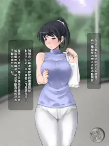 Ibitsuna Kanojo ~Riri~, 中文