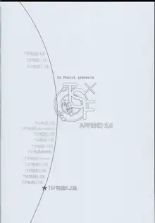 TSF Monogatari APPEND 5.0, 中文