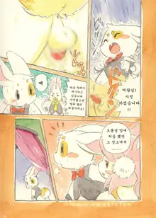 Mochi Usagi Ojou to Boku, 한국어