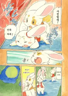 Mochi Usagi Ojou to Boku, 한국어