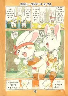 Mochi Usagi Ojou to Boku, 한국어