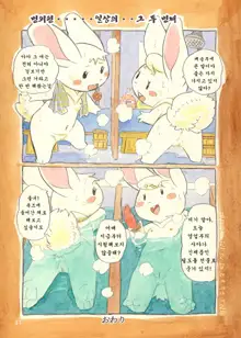 Mochi Usagi Ojou to Boku, 한국어