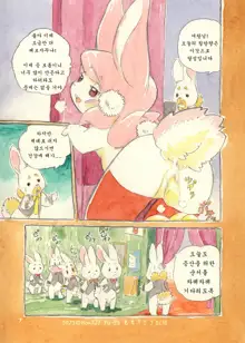 Mochi Usagi Ojou to Boku, 한국어