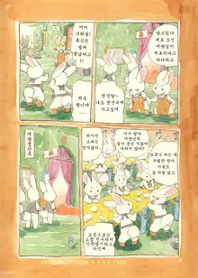 Mochi Usagi Ojou to Boku, 한국어