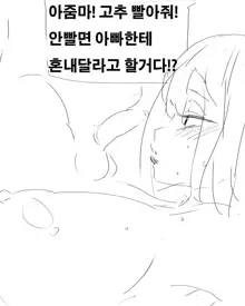 40대의 스프링필드의 사정, 한국어