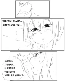 40대의 스프링필드의 사정, 한국어