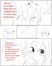 스프링필드와 쇼타 지휘관의 사정, 한국어