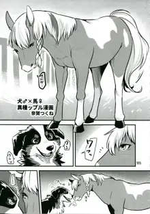 MARE HOLIC 6, 日本語