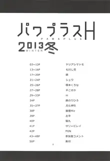 パワプラスH 2013冬, 日本語