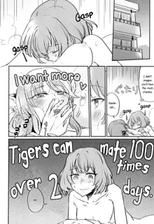 Tora no Kimochi ni Naru desu yo? | Are You Feeling Like a Tiger, English