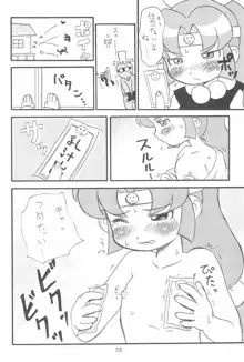 貧乳娘14, 日本語