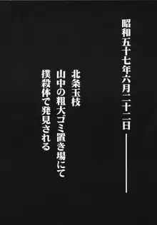 ひぐらしの鳴く様に 弐, 日本語