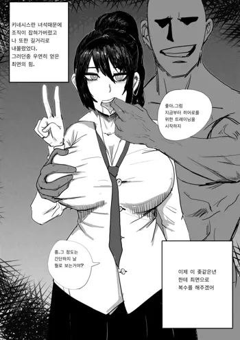 Maple Kinesis Manga, 한국어