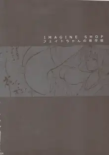 IMAGINE SHOP ~Fate-chan no Izonshou~, 한국어