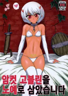 Mesu Goblin o Dorei ni Shimashita | 암컷 고블린을 노예로 삼았습니다, 한국어