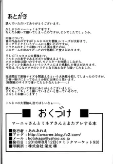 マーニャさんとミネアさんとまたアレする本, 日本語