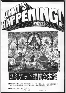 トロピカル力道山, 日本語