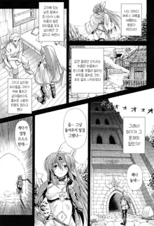 Ikazuchi no Senshi Raidy ~Haja no Raikou~ THE COMIC | 번개의 전사 라이디 ~파사의 뇌광~ THE COMIC, 한국어