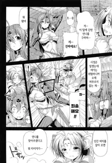 Ikazuchi no Senshi Raidy ~Haja no Raikou~ THE COMIC | 번개의 전사 라이디 ~파사의 뇌광~ THE COMIC, 한국어