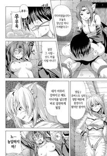 Ikazuchi no Senshi Raidy ~Haja no Raikou~ THE COMIC | 번개의 전사 라이디 ~파사의 뇌광~ THE COMIC, 한국어