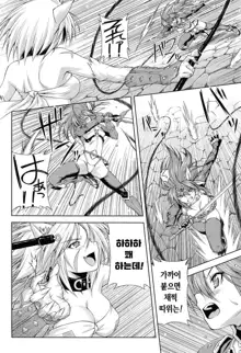 Ikazuchi no Senshi Raidy ~Haja no Raikou~ THE COMIC | 번개의 전사 라이디 ~파사의 뇌광~ THE COMIC, 한국어